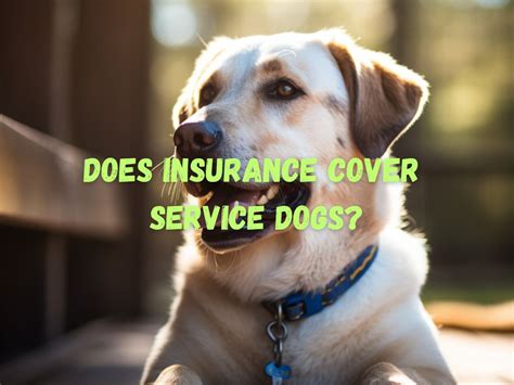 Does insurance cover service dogs. Things To Know About Does insurance cover service dogs. 
